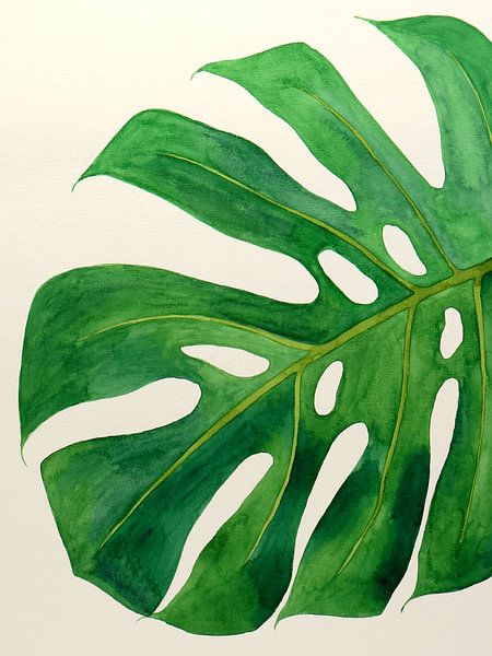 Philodendron monstera leaf no 2 of 3 (watercolor painting flowers green houseplant nature jungle) by Natalie Bruns