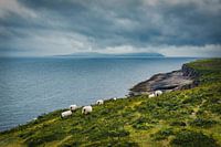 Coast near Galway/Ireland