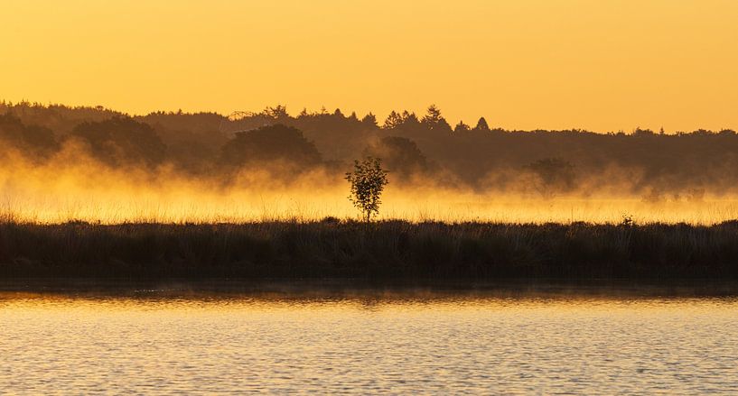 Lever de soleil Dwingelderveld - Drenthe (Pays-Bas) par Marcel Kerdijk