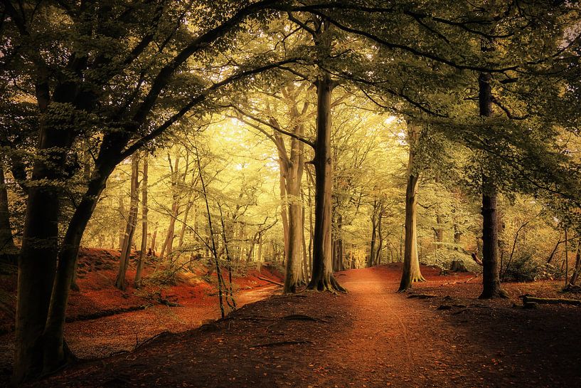 Ein märchenhaftes Ende von Cho Tang