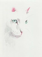 Hand painted watercolor with white cat. Minimalist style.