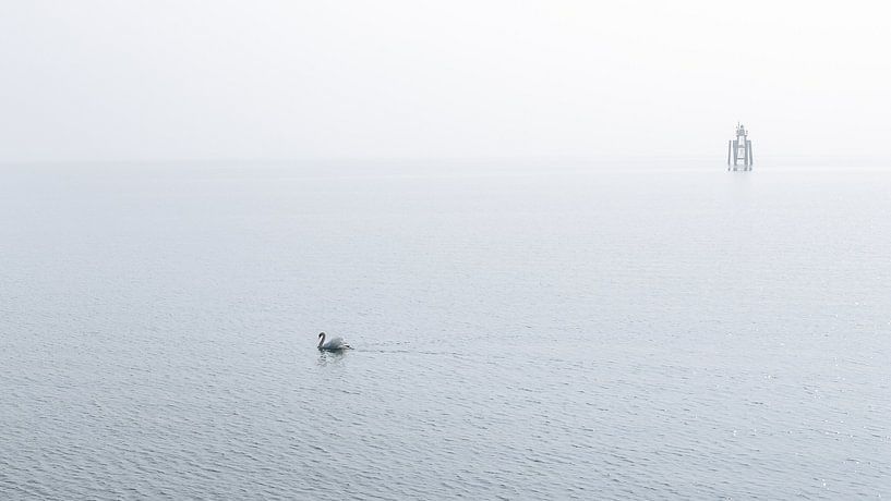Blick mit Nebel auf den Bodensee Lindau Deutschland von Jefra Creations