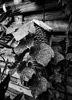 Vogelhaus im monochromen Garten