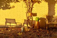 Grüner Apfel in der goldenen Stunde