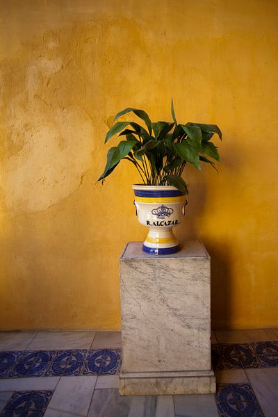 Palais royal Séville Real Alcazar par Kees van Dun