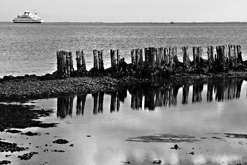 Rangée d'épis avec ferry en arrière-plan par Norbert Sülzner