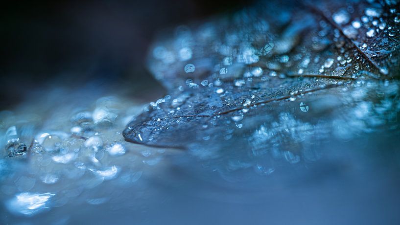 Zusammenfassung 5 von Mariëlle de Valk