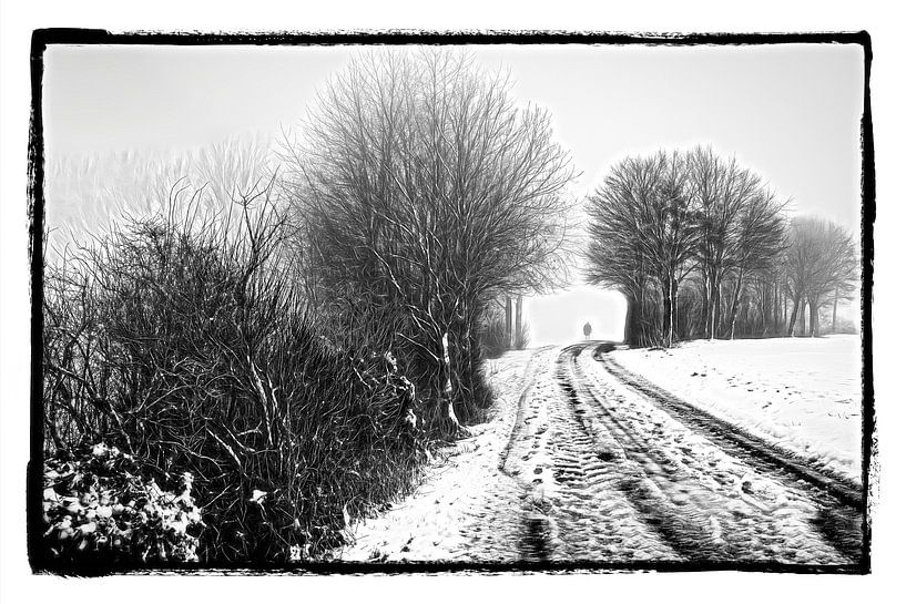 Der einsame Wanderer von Rob Boon