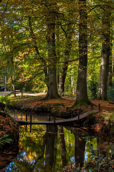 Le Pont par Marc Smits