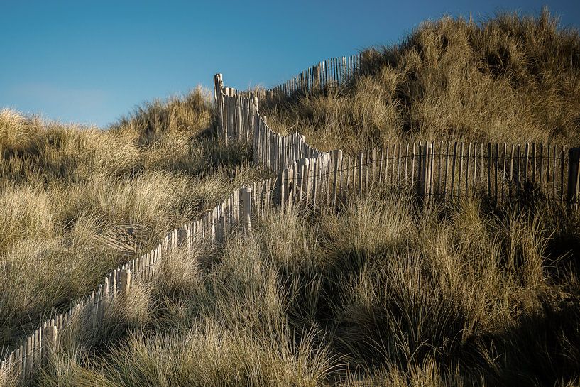 Dünen Bredene von Rik Verslype