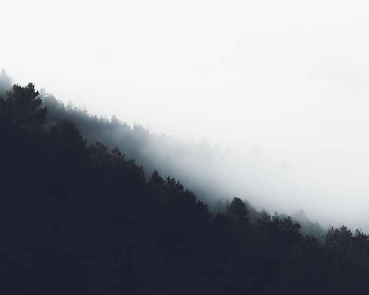 Fog over forest diagonal layers by Patrik Lovrin