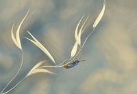 Symphony unfinished...