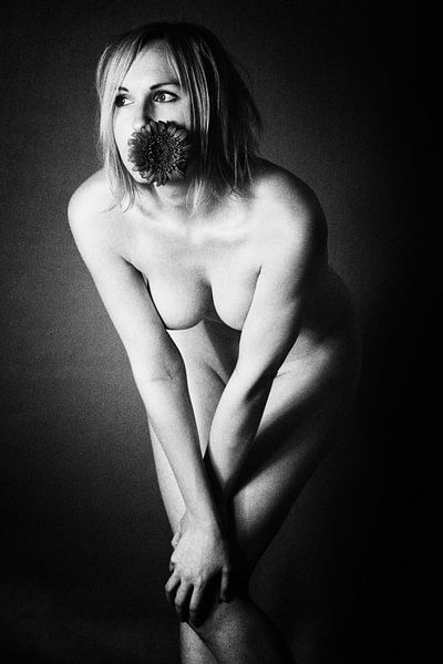 Akt par Falko Follert