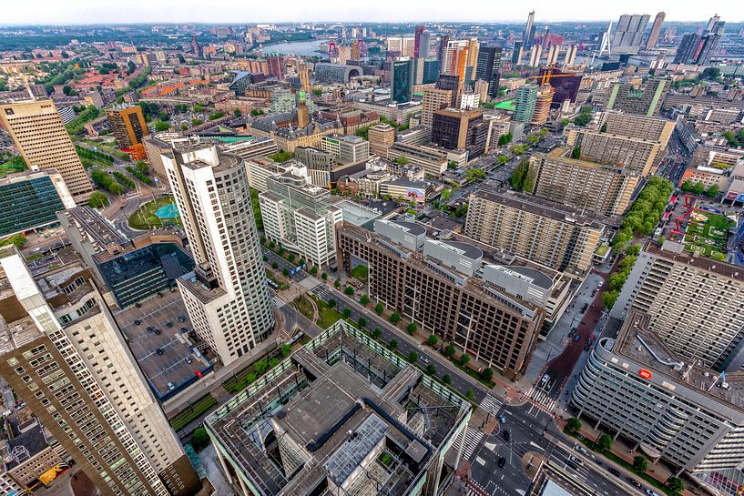 Rotta.High.Storica by Marcel Moonen @ MMC Artworks