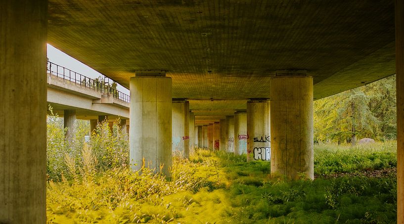 Unter dem Viadukt – Betonpfeiler &amp; goldenes Licht | Urban‑Nature Wandkunst von Toaster Studio – Kreative Fotografie