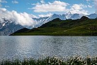 Bachalpsee Grindelwald Switzerland