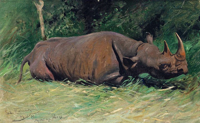 Rhinocéros, Wilhelm Kuhnert, 1906 par Atelier Liesjes