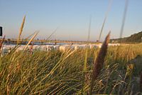 Strandkörbe am Nordstrand in Göhren auf Rügen
