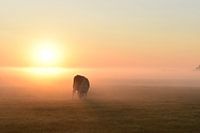Fairytale sunrise in the countryside.