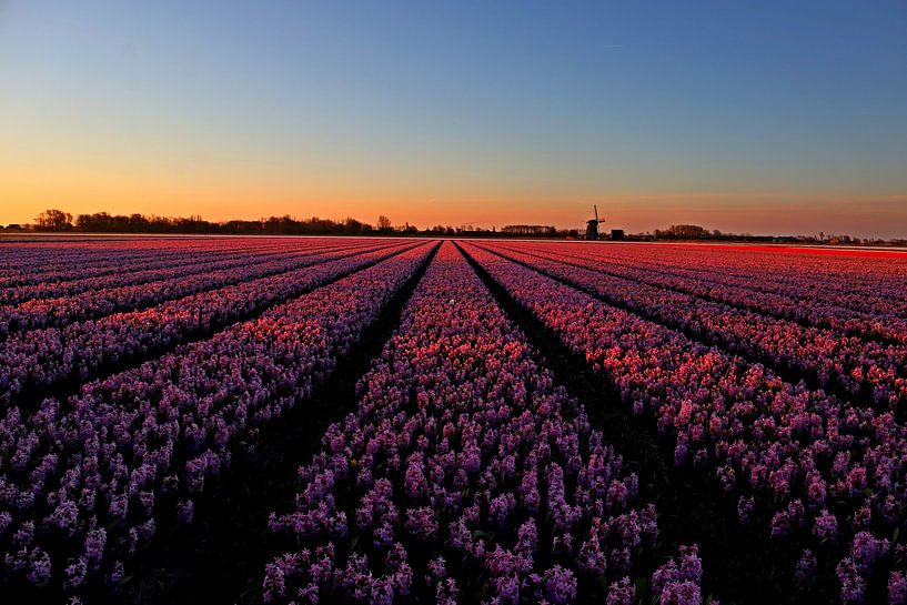 Zonsopkomst bij Schagerbrug von peterheinspictures