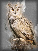 painting eagle-owl-raptor-falconry-owl-hs53977