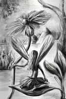 Fantasie illustratie - Elfje op een blad - in grijs tint