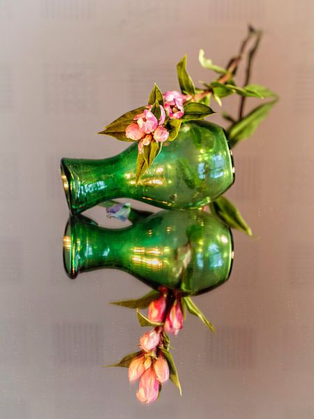 Schildkrötenblume von Rob Boon