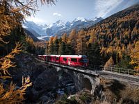Bernina Express