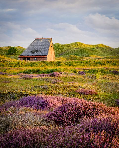 Cabane à moutons par John Goossens Photography