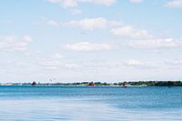 Peering over the water