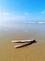 Terschelling - Scheermesjes in de branding op het Noordzeestrand