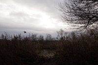 Un rayon de soleil apporte de la lumière dans l'obscurité de l'hiver