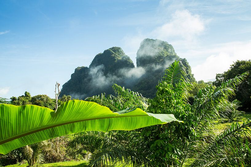 Wachen Sie im Nationalpark Khao Sok auf von Martijn Bravenboer