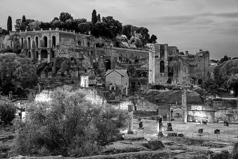 Palatinhügel und Forum Romanum in Rom von Anton de Zeeuw