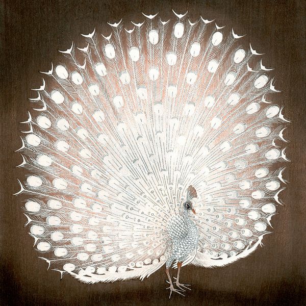 Paon japonais par Mad Dog Art