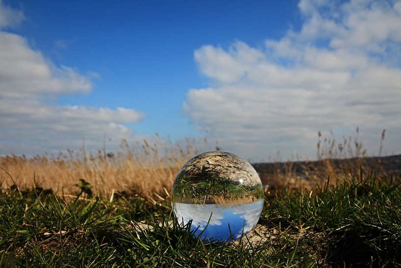 Glazen bol in het voorjaar by Fotografie Sybrandy