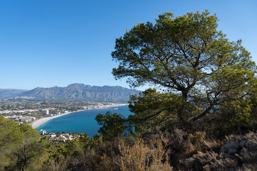 View of the coast with mountains and trees by Adriana Mueller