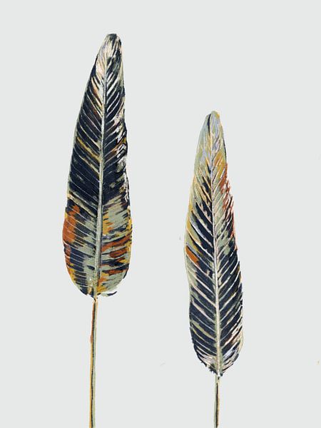 Blader bomen van Studio Carper