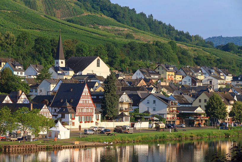 Zell zomerochtend aan de Moezel von Dennis van de Water