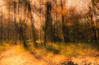 Wenn Bäume sprechen könnten (Verstecktes Dorf)