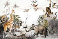 Wilde Tiere Poster Kinderzimmer