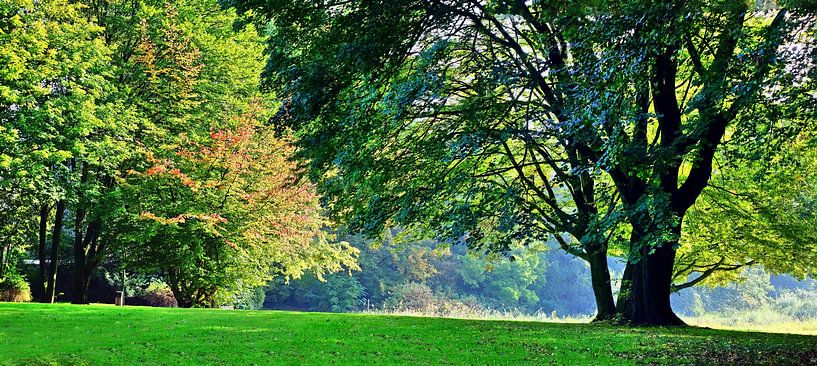 Panorama de la plaine d'inondation par Edgar Schermaul