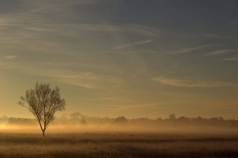 opkomende zon Malpie by Jeroen Grit