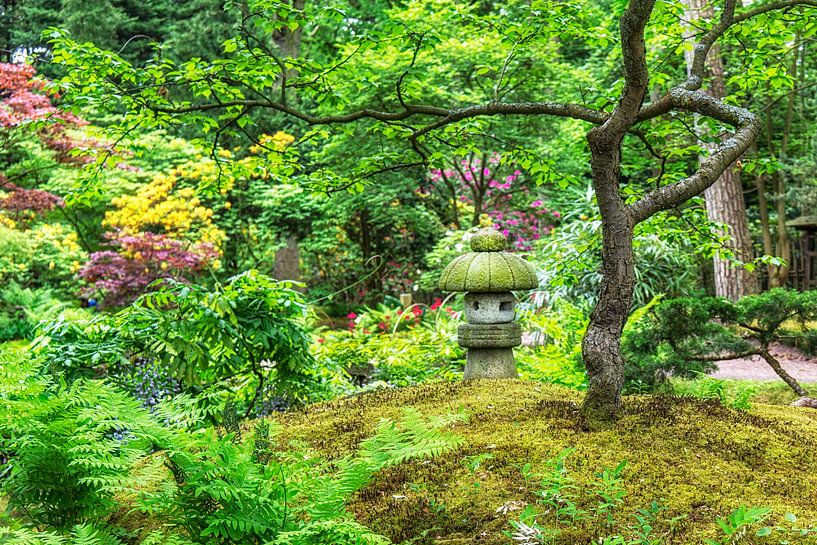 Japanischer Garten (4) von Marly De Kok