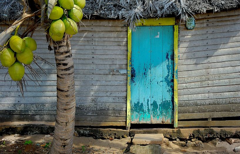 Hütte eines kubanischen Fischers von M DH