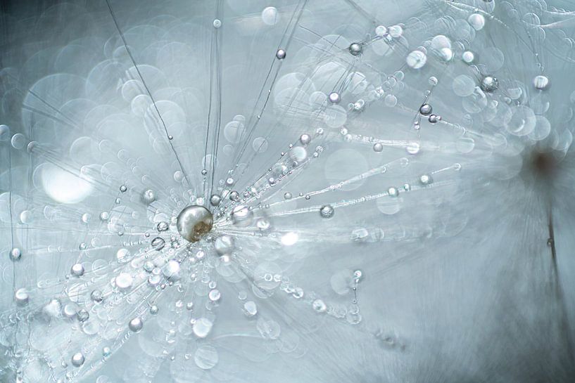 In der Stille gefangen von Gerry van Roosmalen