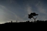 Abendkulisse auf Terschelling