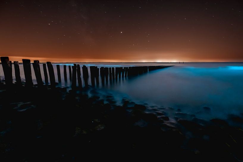 Seefunk 2 von Andy Troy