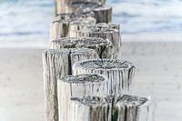 Wellenbrecher, Poller in Zeeland