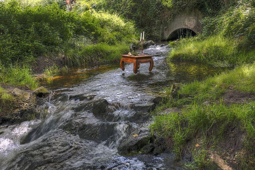 Gravitation  von Roger Sanders